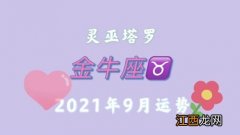 2020年1月15日金牛座运势 金牛座9月运势2020年，金牛座2020年1月14日运势