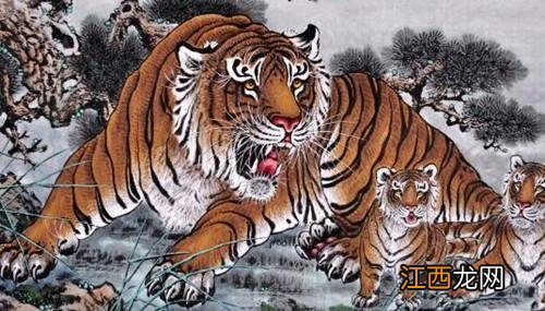 属牛和属虎在一起财运 生肖虎命中有两大贵人,属虎的几点出生最好命