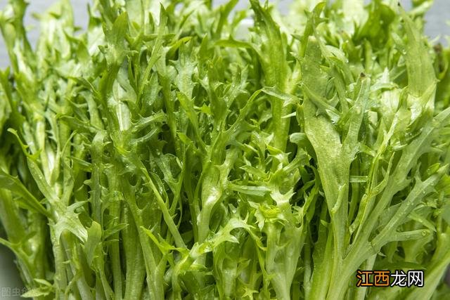 吃什么是去火的东西,下火吃什么菜最快降火,快看,别不当回事