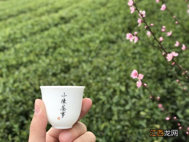 冬天喝什么茶,冬夏喝啥茶,这篇文章真值得看