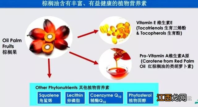 棕榈油是什么做的,棕榈油是什么制成,点一下看一下