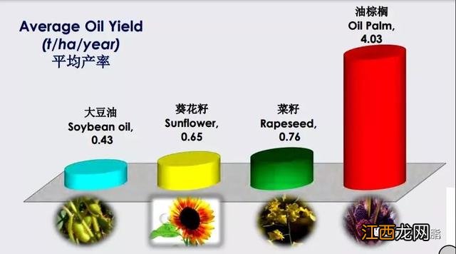 棕榈油是什么做的,棕榈油是什么制成,点一下看一下