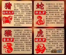 属蛇人忌养什么植物 2022年属蛇要穿红色吗，2022年属蛇大忌颜色