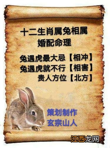 2023年生兔备孕表 十兔九苦是真的吗，为什么叫做十兔九苦