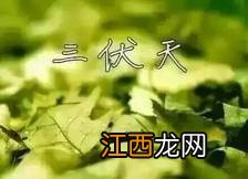 什么时候喝生姜红茶最好,姜红茶几点喝最好,教你小妙招