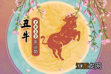 1973属牛未来十年财运 73年属牛50岁2022运势，73年属牛49岁2021劫难