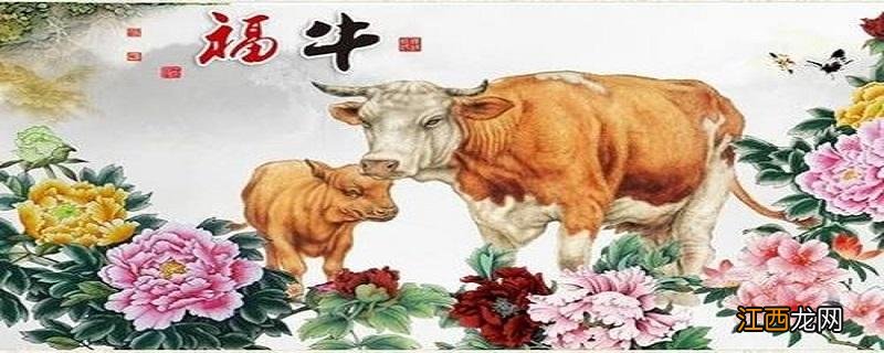 1973牛命晚年很苦 73年属牛何时走大运,85年属牛一生三大劫难