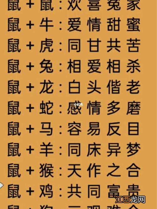 属鼠的家中不宜放什么 属鼠最忌讳的属相，属鼠的命中注定的伴侣