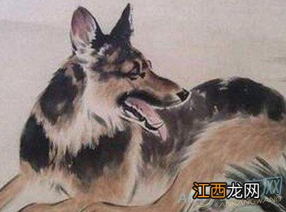 属狗的最旺吉祥方位 属狗最忌讳的三个生肖,94年属狗的三大坎