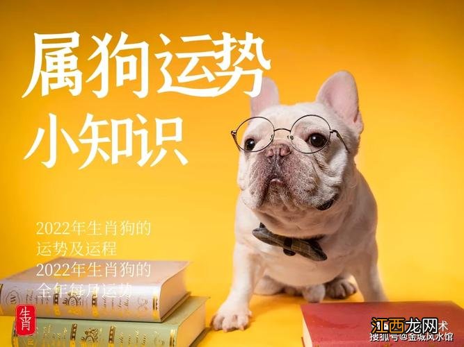 2022年1970属狗男运势 1970属狗的2022年运势如何,1970属狗2022年每月运程