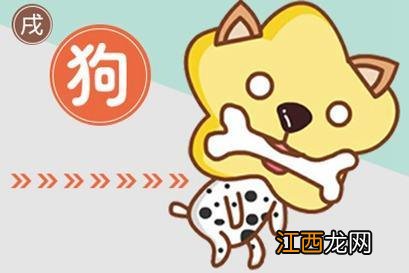 1970年属狗今日运势查询 1970年属狗运程,1970年属狗一生运势及运程