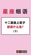 双鱼座到底聪明还是傻 双鱼座的前世是什么人，正双鱼和晚双鱼有啥区别