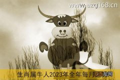 2023年为什么是黑兔年 2022虎好还是2023兔好，2023年1月出生属兔还是虎