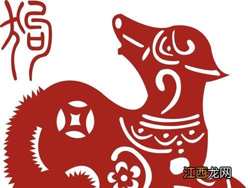 属狗1970五十岁后的命运 70年属狗51岁有血光之灾,千万不要娶属狗女人