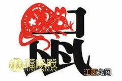 鼠兔相冲反而大吉 属鼠配什么属相最好，属鼠女和属鸡男的婚姻相配吗