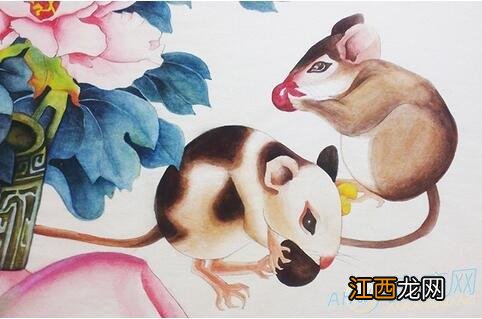 鼠兔相冲反而大吉 属鼠配什么属相最好，属鼠女和属鸡男的婚姻相配吗