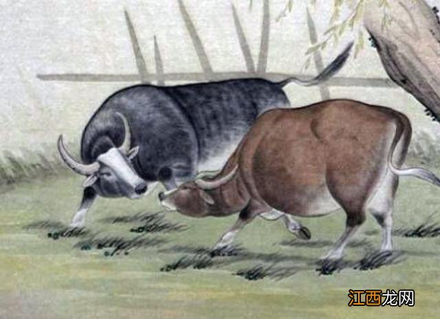 1973年属牛的在2022年每月的运程 73年属牛49岁有一灾婚姻，73年属牛49和50岁命运