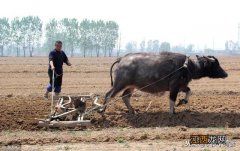 春天什么时候开始种菜,北方春天什么时候开始种菜,这可以收藏