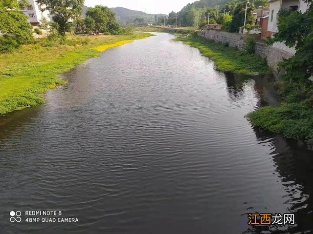 最小的河虾,小型河虾有哪些,建议收藏起来