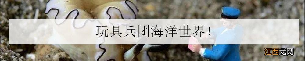 紫色的虾是什么虾,带点紫色的虾是什么虾,收藏篇文章