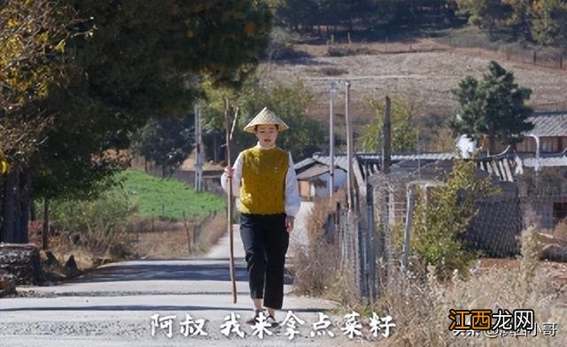 怎样炸菜油又香又好吃,油炸蔬菜可以做啥菜,点击打开网页