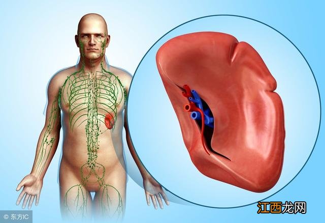 脾摘除后吃什么补品,脾切除后吃什么补脾好,也太简单了吧