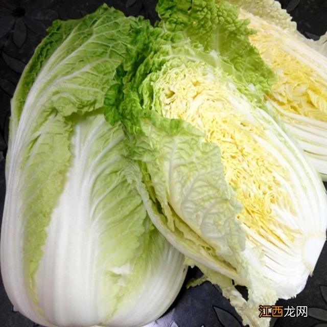 什么白菜又好种又好吃,什么白菜品种好吃又抗病,科普小知识一分钟