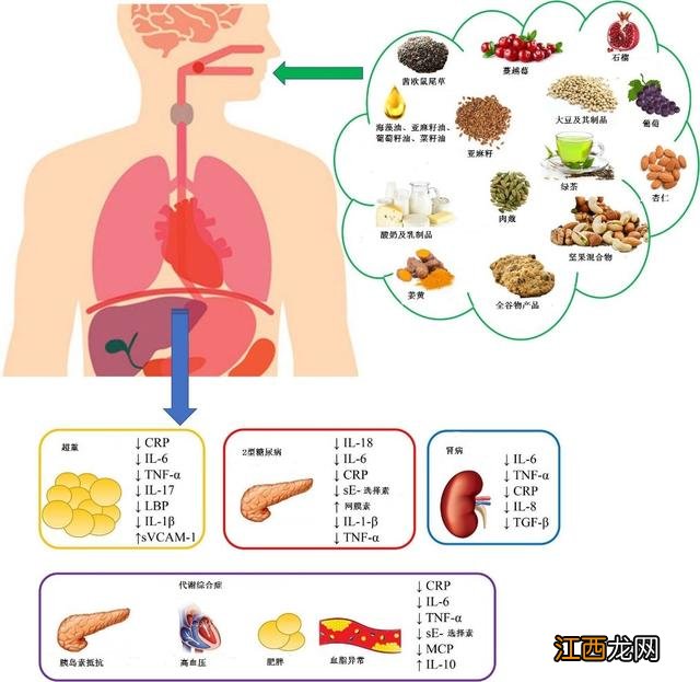 抗炎多吃什么蔬菜,糜烂性胃炎吃什么食物养胃,今天的科普