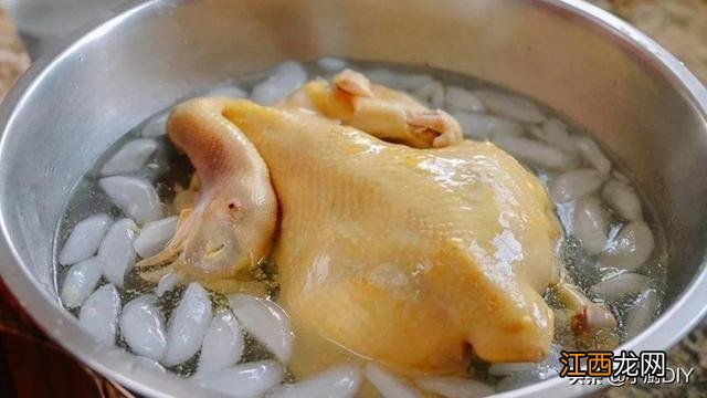 白斩鸡用什么鸡最好,白切鸡最佳鸡选,快速点击这里了解更多