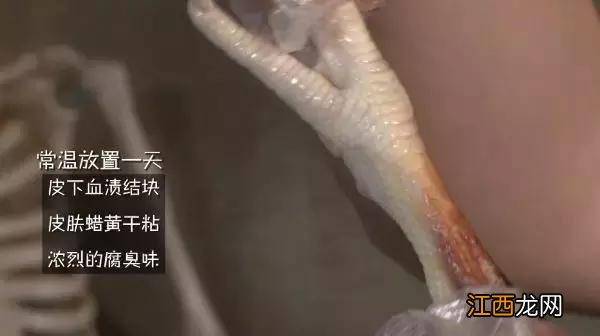 鸡爪用什么水泡又大又嫩,鸡爪用什么泡又白又大,内部分享,看这!