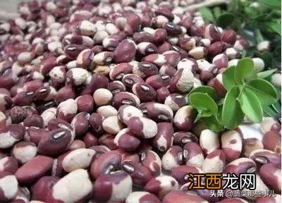 野豆角是什么,豆角到底是啥,别再混淆了