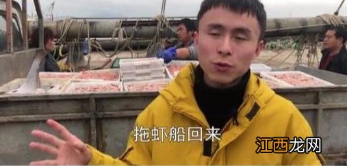 红虾什么颜色好吃,什么地方卖小红虾,带你涨知识