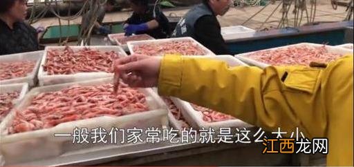 红虾什么颜色好吃,什么地方卖小红虾,带你涨知识