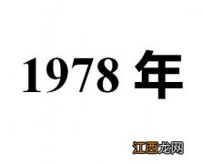 属鸡一生佩戴什么旺财 1981属鸡石榴木命最忌讳什么，1981年属鸡石榴木命缺什么