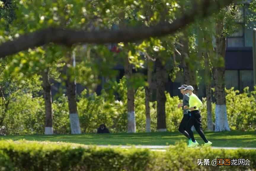 「节气养生」芒种养生攻略送给您，照着做夏季少生病