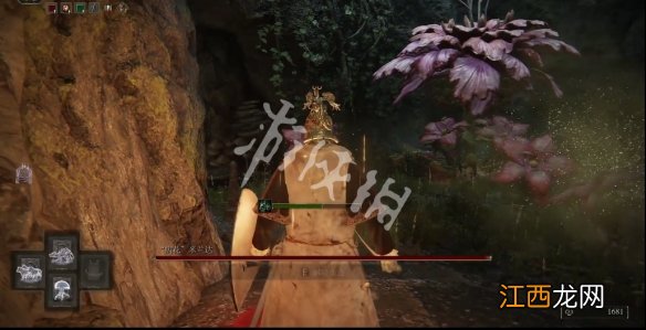 艾尔登法环绿琥珀链坠如何获取 绿琥珀链坠获取方式