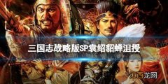 三国志战略版SP袁绍貂蝉沮授阵容推荐 沮授群弓兵书战法搭配