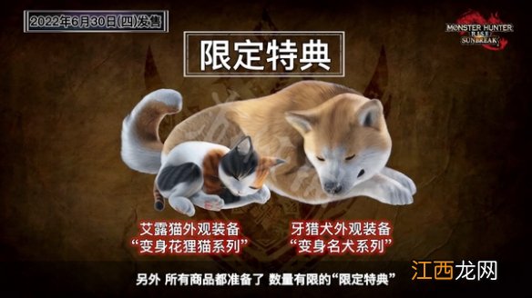 怪物猎人崛起曙光预购奖励介绍 曙光dlc预购奖励有什么