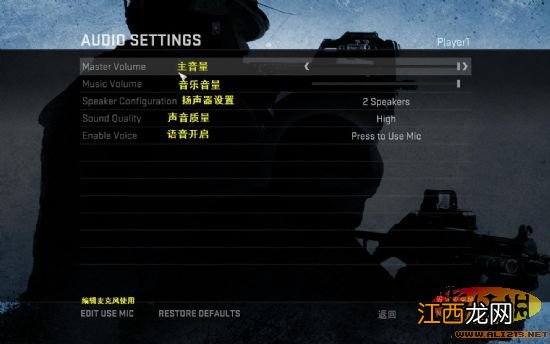 《反恐精英:全球攻势》PC版游戏菜单翻译截图