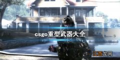 反恐精英全球攻势重型武器有什么 csgo重型武器大全 新星