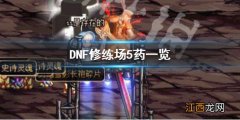 DNF修练场5药是什么 DNF修练场5药一览_网