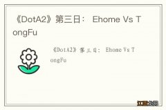 《DotA2》第三日： Ehome Vs TongFu