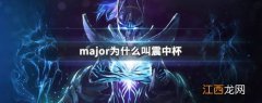 major为什么叫震中杯 dota2震中杯介绍