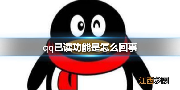 qq已读功能是怎么回事 qq已读功能介绍