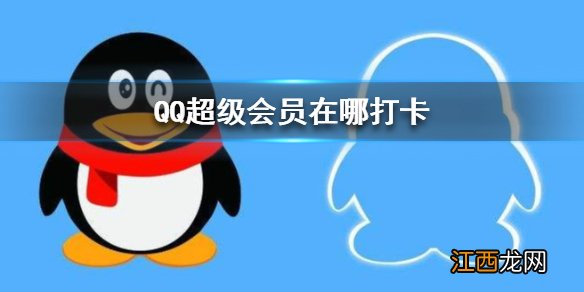 QQ超级会员在哪打卡 QQ超级会员打卡位置