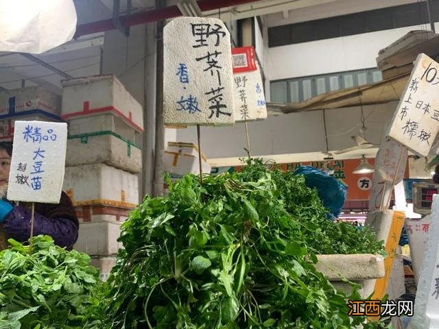 春天菜市场都卖什么菜 春天卖什么菜好卖