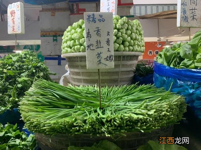 春天菜市场都卖什么菜 春天卖什么菜好卖