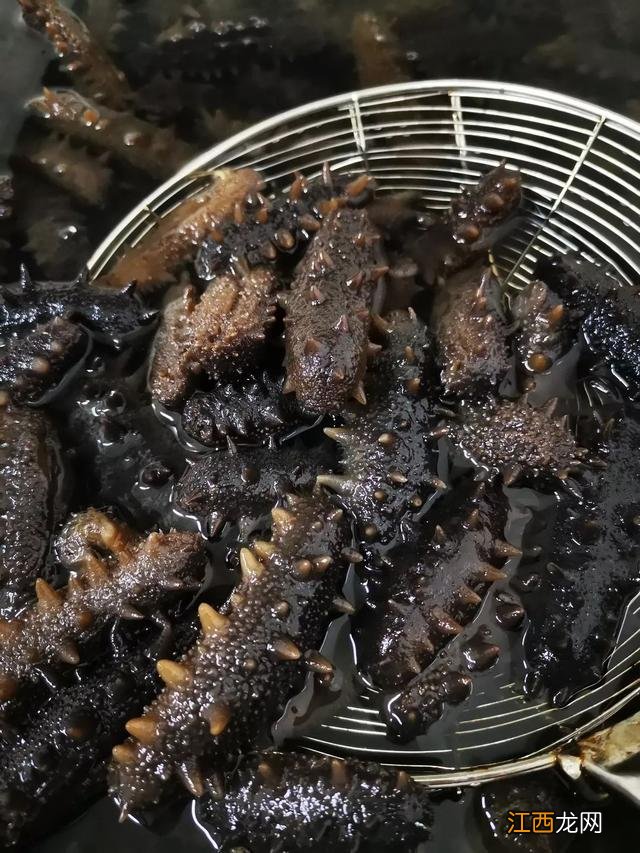 海参自己吃买哪一种好 吃什么海参最经济实惠