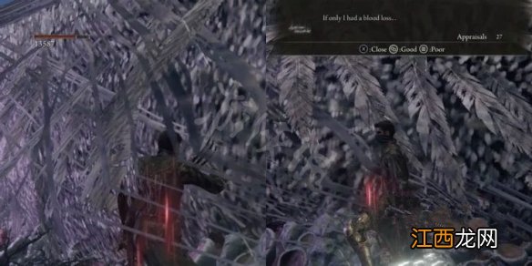 艾尔登法环老龙位置在哪 老头环老龙位置介绍