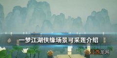 一梦江湖侠缘场景可采莲怎么进 一梦江湖侠缘场景可采莲介绍